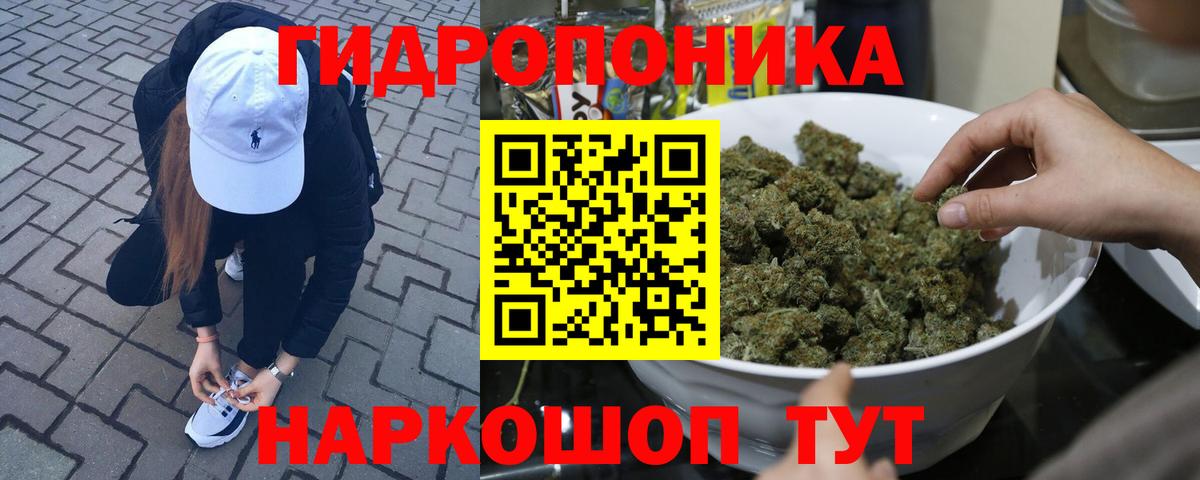 Бошки Шишки MAZAR  Марихуана Bruce Banner  Россошь  Вход с VPN 